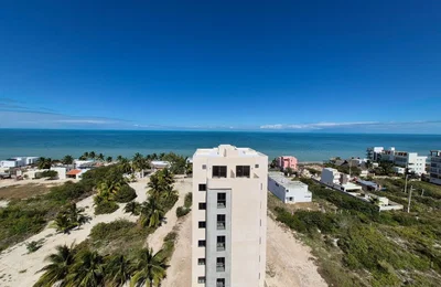 Mutfak; mutfak aletleri, ahşap zemin, doğal ışık, modern stil