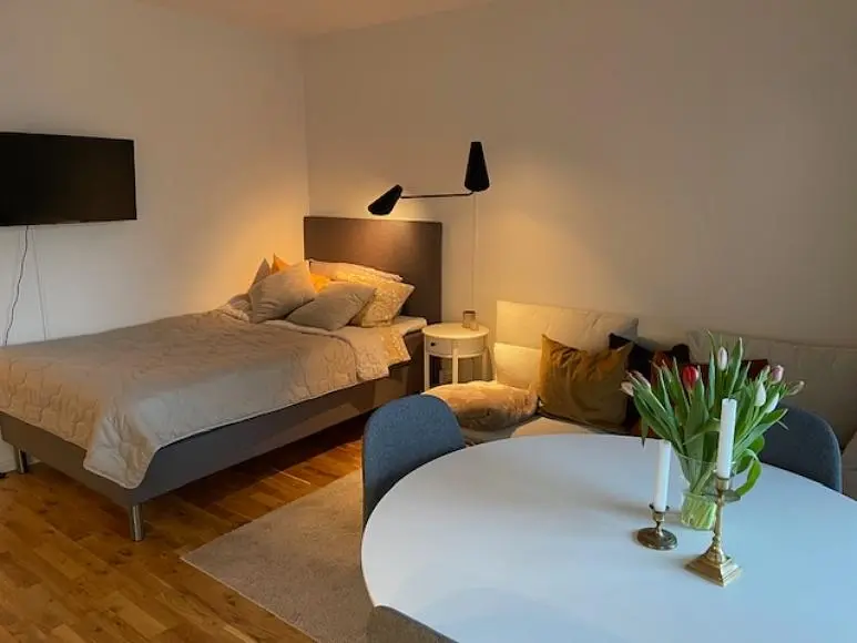 Salon; parquet, lumière naturelle, style moderne