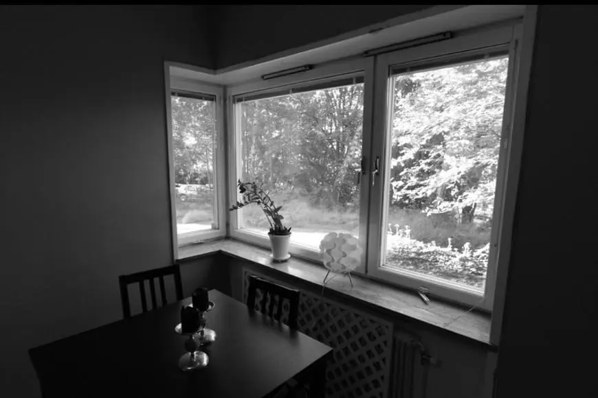 Cuisine; électroménager, parquet, lumière naturelle, style moderne