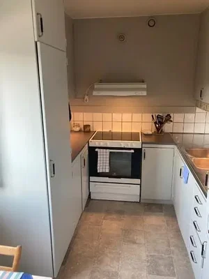 Cucina; elettrodomestici, pavimento in legno, luce naturale, stile moderno