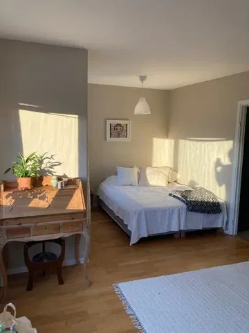 Keuken; keukenapparatuur, houten vloer, natuurlijk licht, moderne stijl