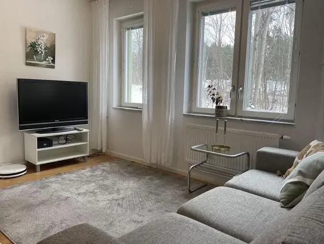 Salon; parquet, lumière naturelle, style moderne