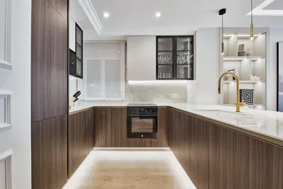 Kitchen; kitchen appliances, wood floor, natural light, modern style