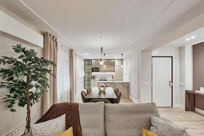 Kitchen; kitchen appliances, wood floor, natural light, modern style