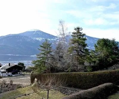 Küche; küchengeräte, holzboden, tageslicht, moderner stil