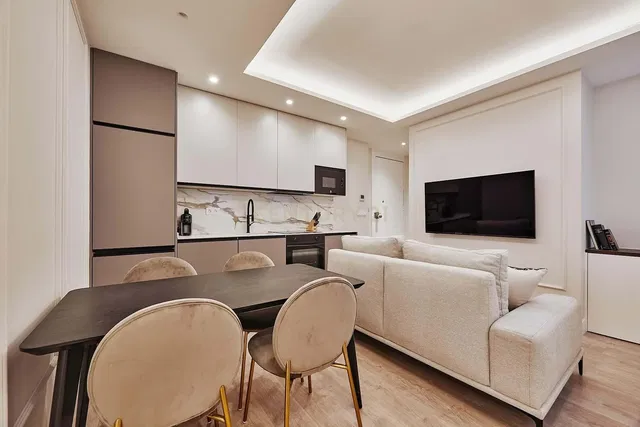 Кухиња; кухињски апарати, дрвени под, природно светло, модерни стил