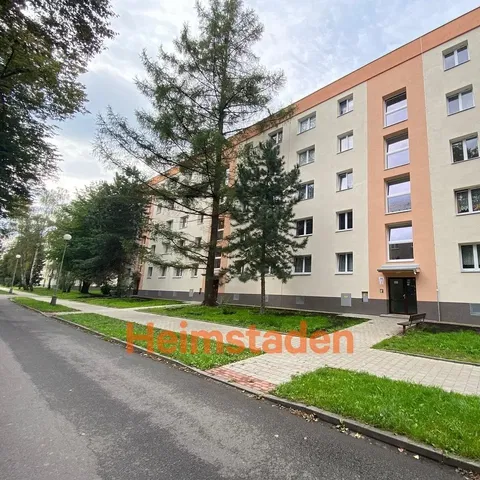 Кухня; кухненски уреди, дървен под, естествена светлина, модерен стил