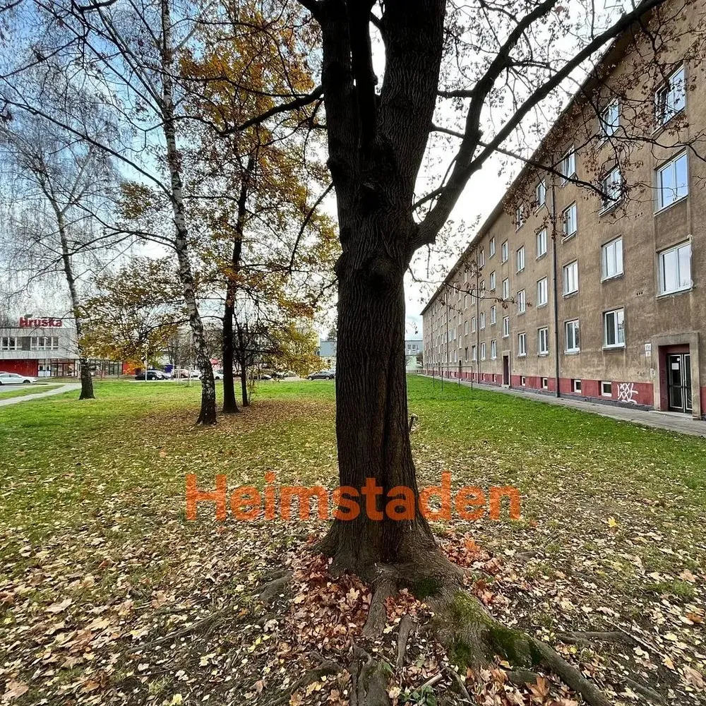 Kuchyňa; kuchynské spotrebiče, drevená podlaha, prirodzené svetlo, moderný štýl