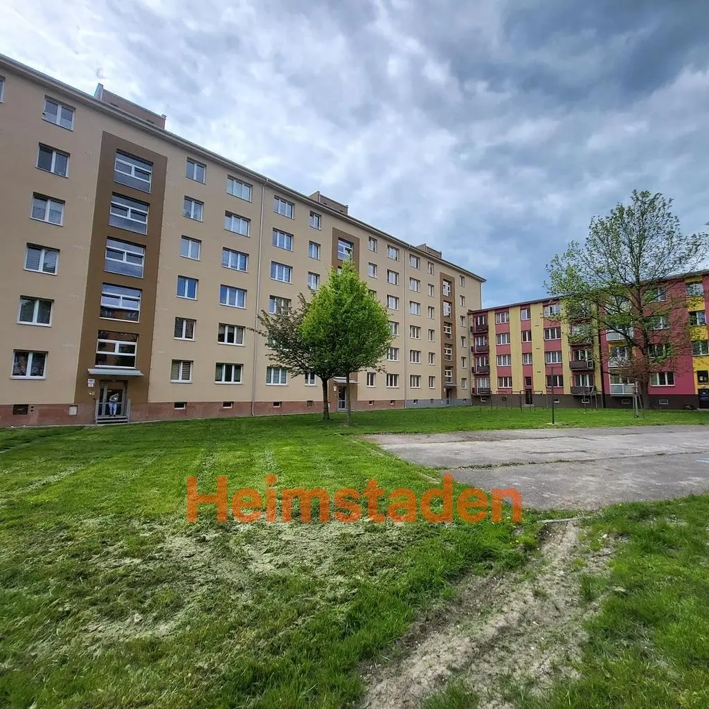 Кухня; кухненски уреди, дървен под, естествена светлина, модерен стил