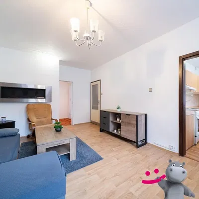 Mutfak; mutfak aletleri, ahşap zemin, doğal ışık, modern stil