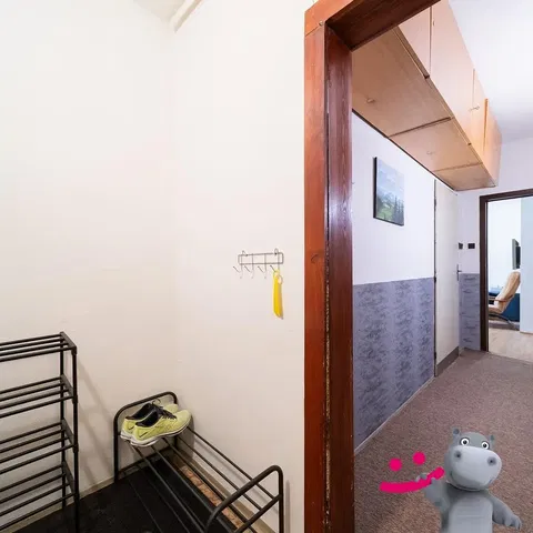 Кухня; кухненски уреди, дървен под, естествена светлина, модерен стил