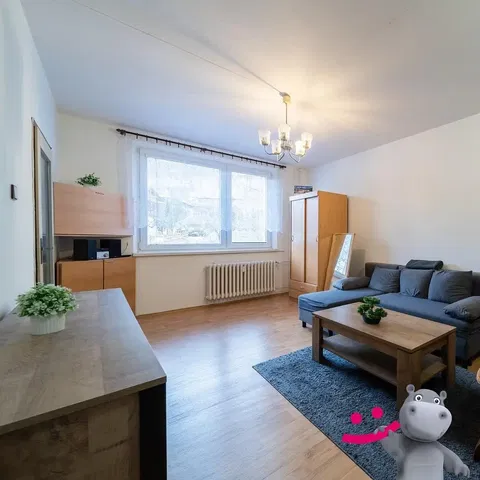 Кухня; кухненски уреди, дървен под, естествена светлина, модерен стил