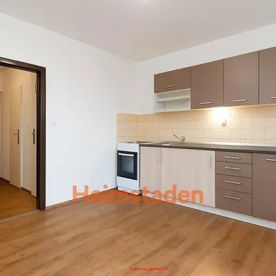 Кухня; кухненски уреди, дървен под, естествена светлина, модерен стил