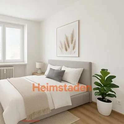 Mutfak; mutfak aletleri, ahşap zemin, doğal ışık, modern stil