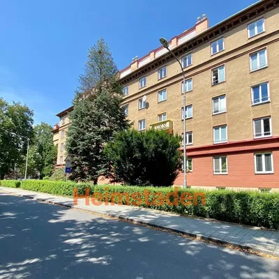 Mutfak; mutfak aletleri, ahşap zemin, doğal ışık, modern stil