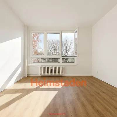 Kuhinja; kuhinjski aparati, drveni pod, prirodno svjetlo, moderni stil