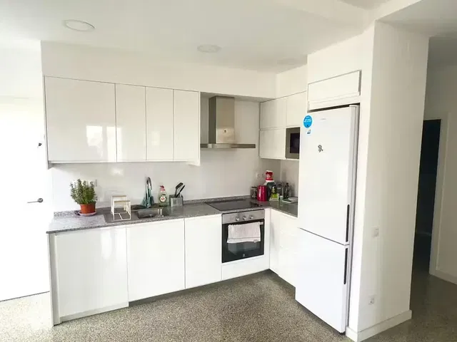 Kitchen; kitchen appliances, wood floor, natural light, modern style