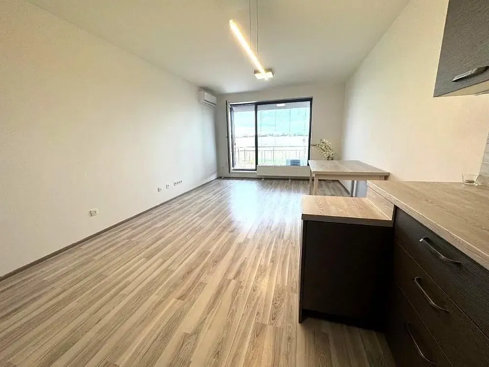 Living room; wood floor, natural light, modern style
