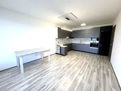 Kitchen; kitchen appliances, wood floor, natural light, modern style