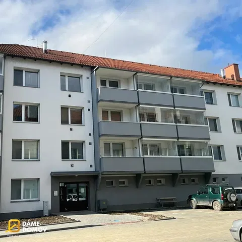 Kuchyně; kuchyňské spotřebiče, dřevěná podlaha, přirozené světlo, moderní styl