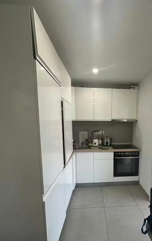 Keuken; keukenapparatuur, houten vloer, natuurlijk licht, moderne stijl