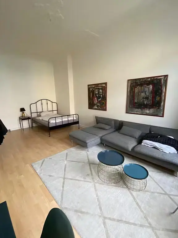 Living room; wood floor, natural light, modern style