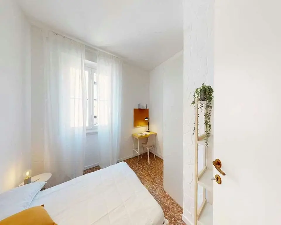 Kitchen; kitchen appliances, wood floor, natural light, modern style