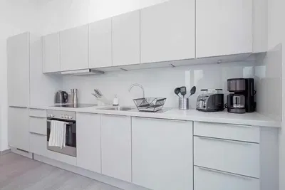 Kitchen; kitchen appliances, wood floor, natural light, modern style