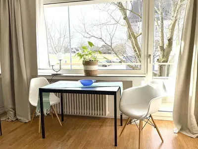 Kitchen; kitchen appliances, wood floor, natural light, modern style