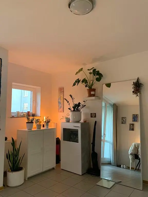 Cocina; electrodomésticos, suelo de madera, luz natural, estilo moderno