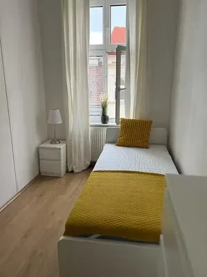 Kitchen; kitchen appliances, wood floor, natural light, modern style