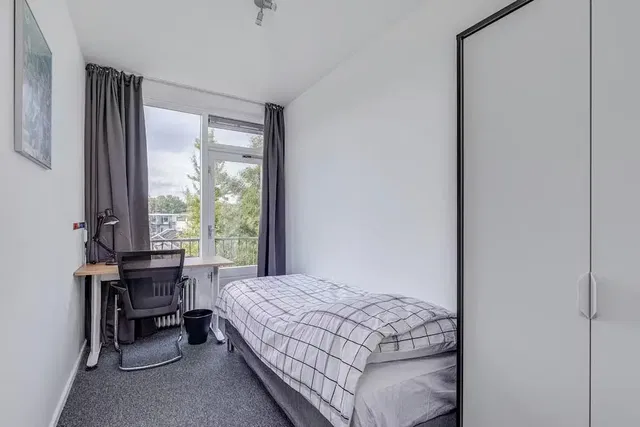 Küche; küchengeräte, holzboden, tageslicht, moderner stil