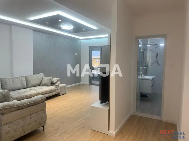 Kitchen; kitchen appliances, wood floor, natural light, modern style