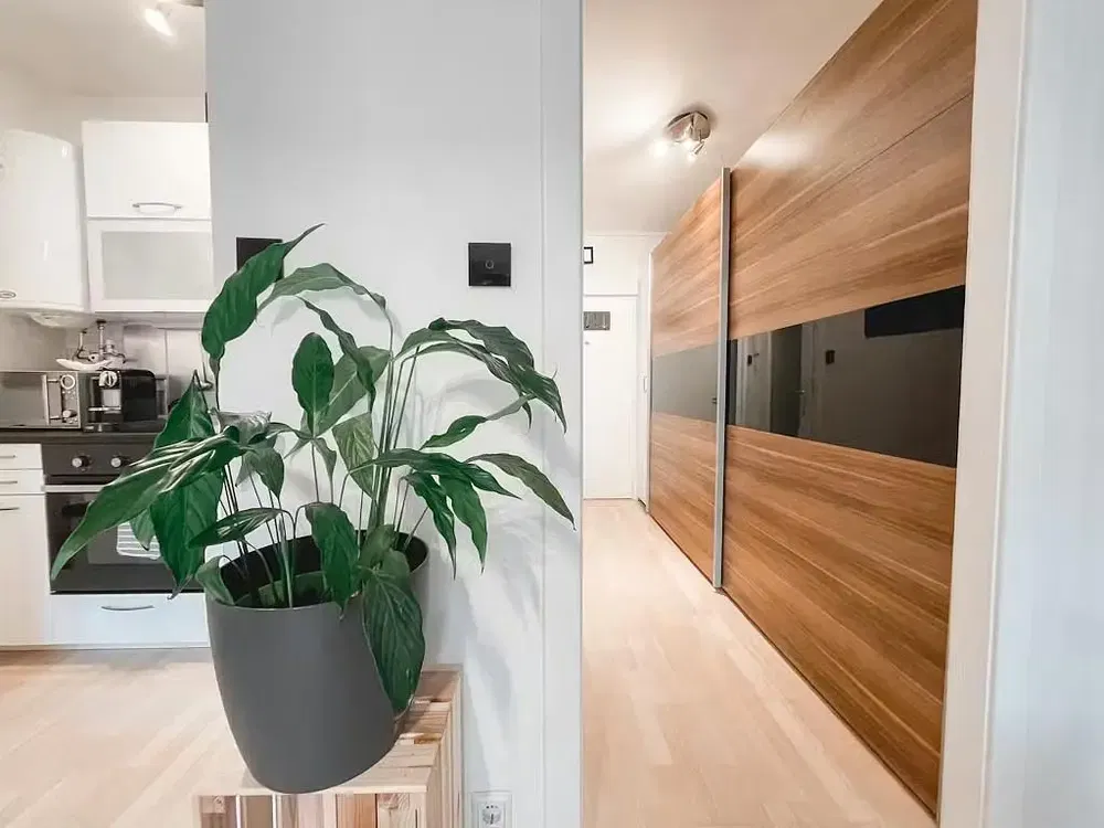 Küche; küchengeräte, holzboden, tageslicht, moderner stil