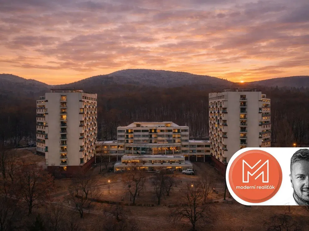 Дневна соба; дрвени под, природно светло, модерни стил, високи плафони