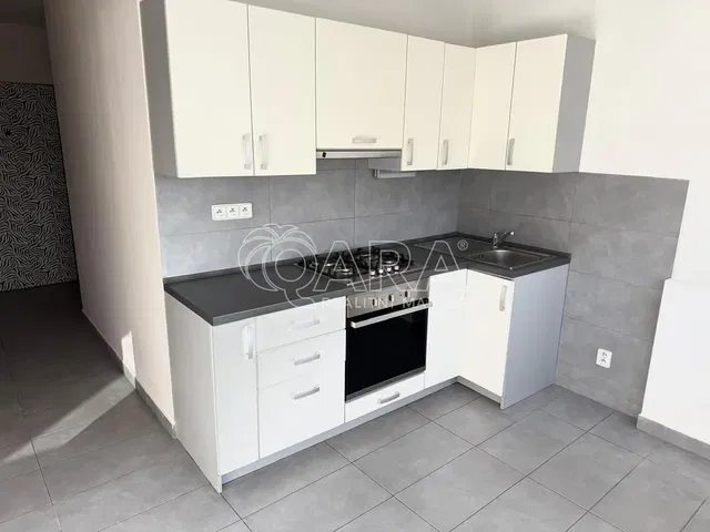 Kitchen; kitchen appliances, wood floor, natural light, modern style