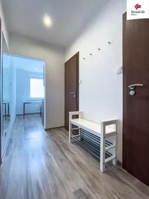 Mutfak; mutfak aletleri, ahşap zemin, doğal ışık, modern stil