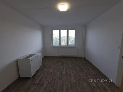Living room; wood floor, natural light, modern style