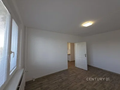 Küche; küchengeräte, holzboden, tageslicht, moderner stil