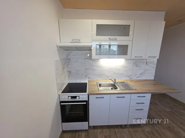 Kuchyně; kuchyňské spotřebiče, dřevěná podlaha, přirozené světlo, moderní styl