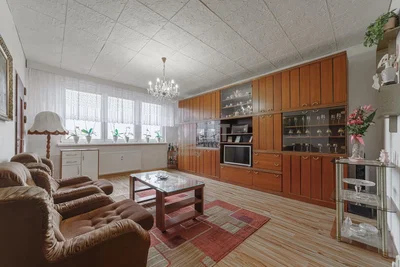 Living room; wood floor, natural light, modern style