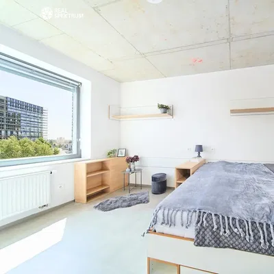 Kuchnia; sprzęt kuchenny, podłoga drewniana, światło dzienne, styl nowoczesny