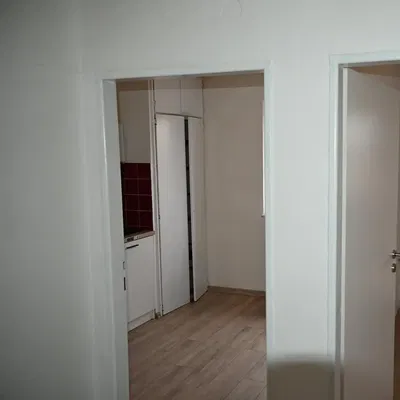 Küche; küchengeräte, holzboden, tageslicht, moderner stil