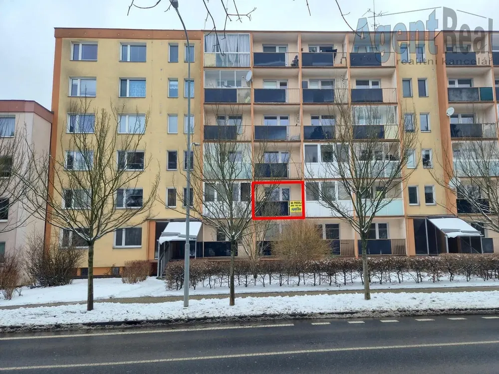 Кухня; кухненски уреди, дървен под, естествена светлина, модерен стил