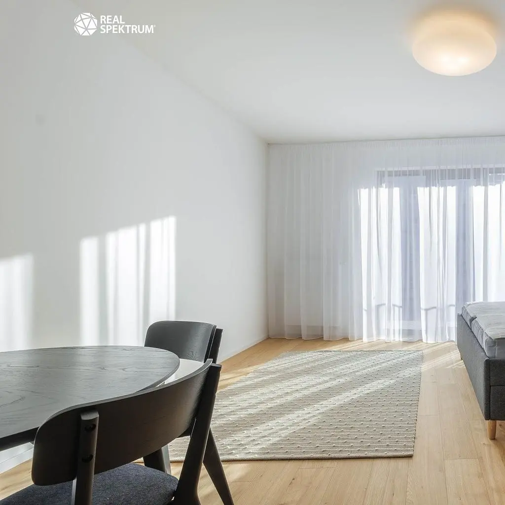 Kitchen; kitchen appliances, wood floor, natural light, modern style