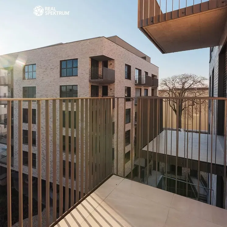 Kitchen; kitchen appliances, wood floor, natural light, modern style