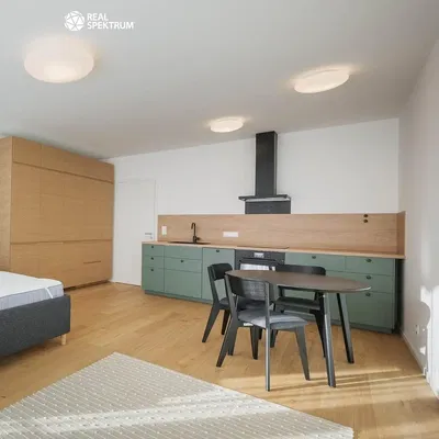 Kitchen; kitchen appliances, wood floor, natural light, modern style