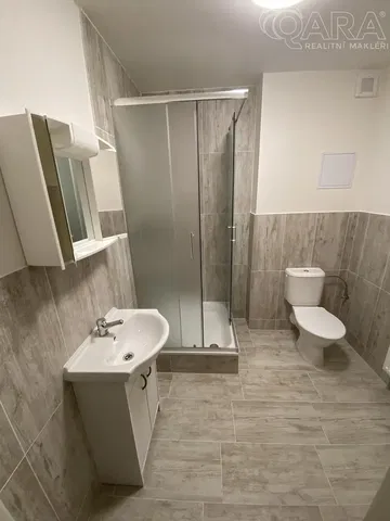 Хол; дървен под, естествена светлина, модерен стил