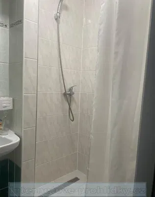 Хол; дървен под, естествена светлина, модерен стил