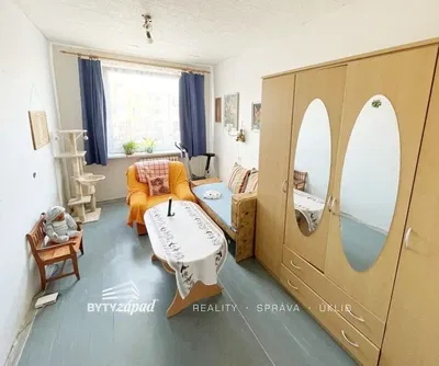 Cozinha; eletrodomésticos, chão de madeira, luz natural, estilo moderno